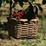 בית הארחה Quinta Formosa Vale Formoso (Castelo Branco)