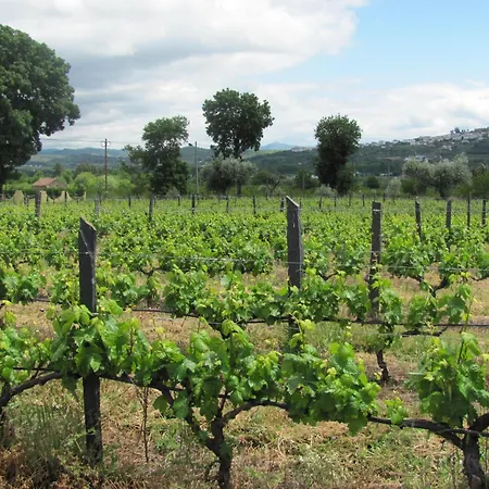 Quinta Formosa Vale Formoso (Castelo Branco)