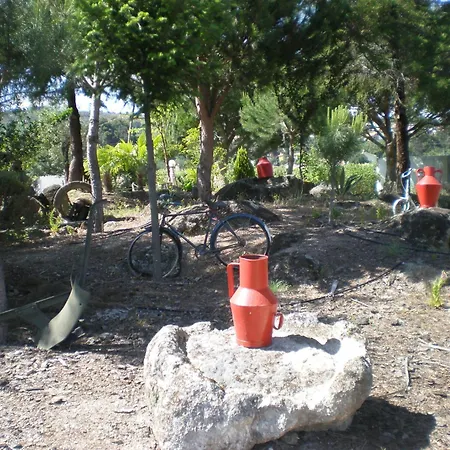 Quinta Formosa Πανσιόν Vale Formoso (Castelo Branco)