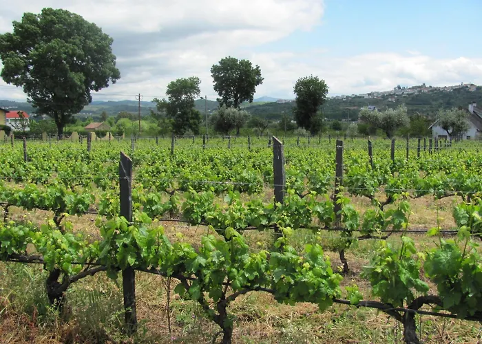 Quinta Formosa Vale Formoso (Castelo Branco)