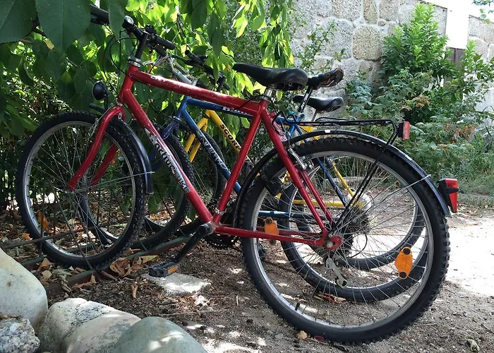 Casa de hóspedes Quinta Formosa Vale Formoso (Castelo Branco)